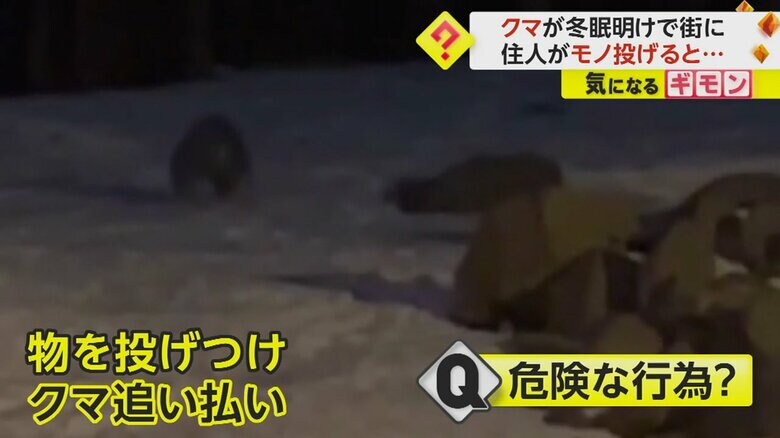 山へ逃げていくクマ