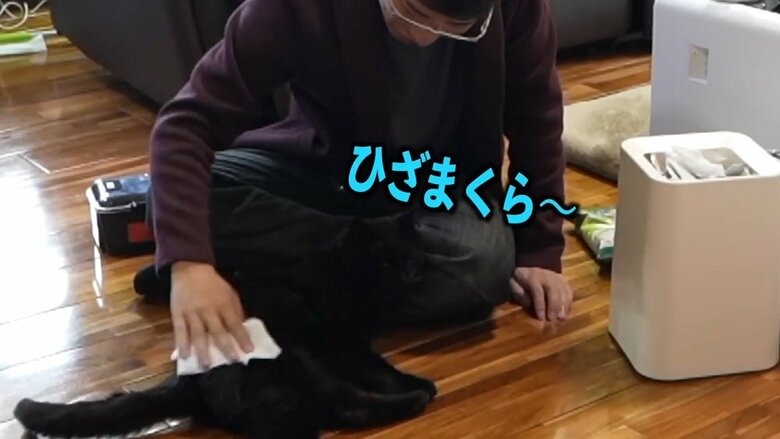 すると、釣りのうらもっちゃんねるさんにべったりな黒ちゃん