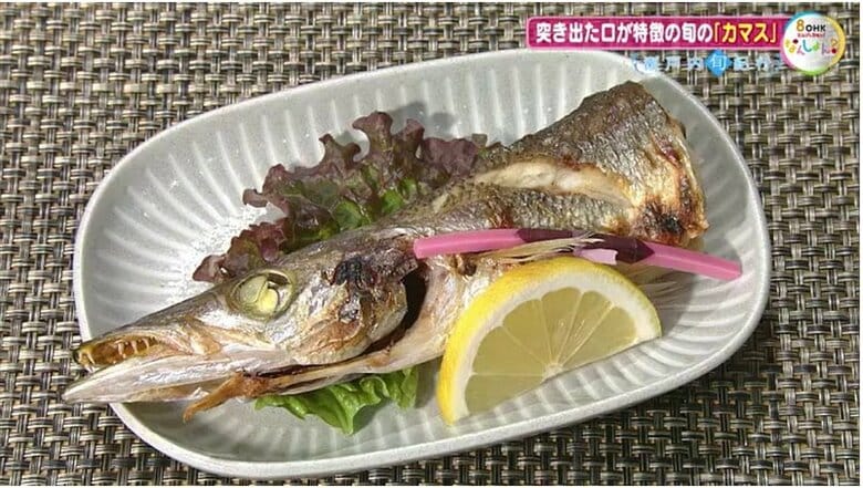 カマスの塩焼き（盛り付け例）