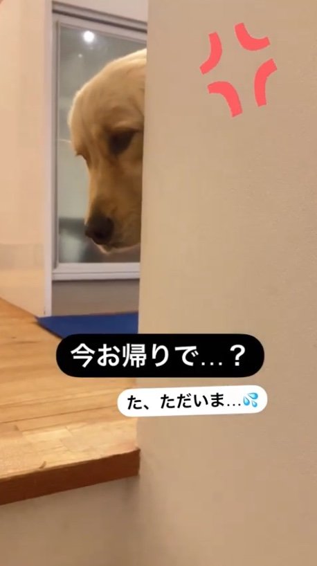 提供：エマさん