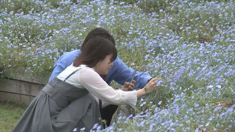 るるパーク