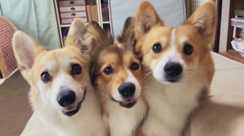 ぴったりくっついて仲良し