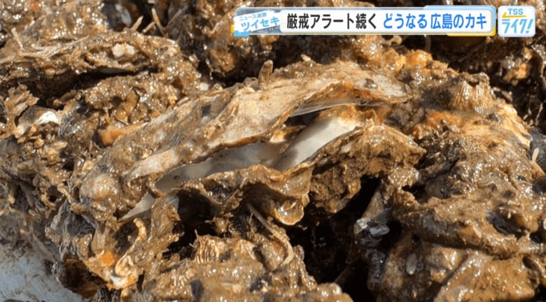 口を開けて死んだカキ