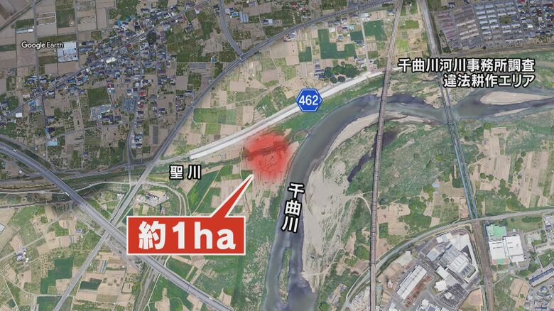 約1haに広がる「ヤミ畑」