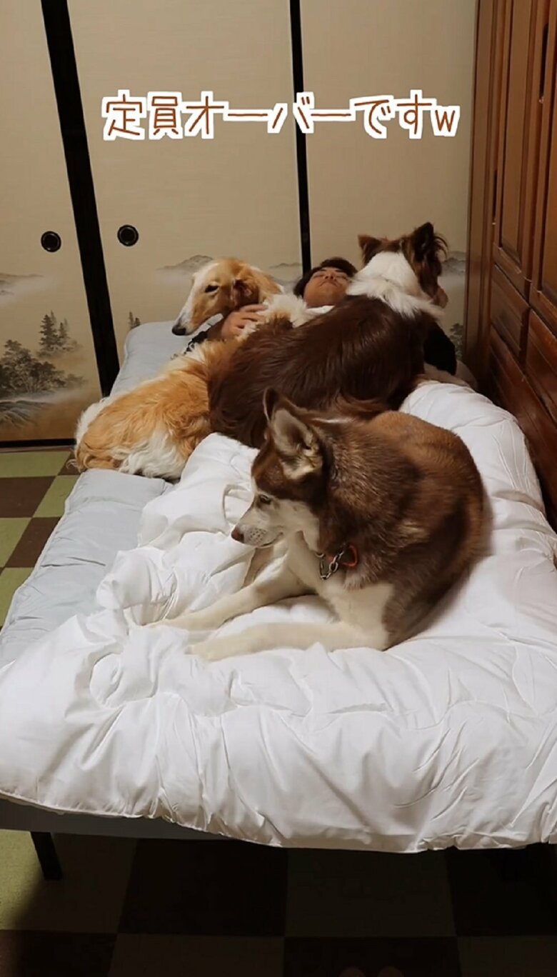 かずさん＋3頭で定員オーバーのシングルベッド