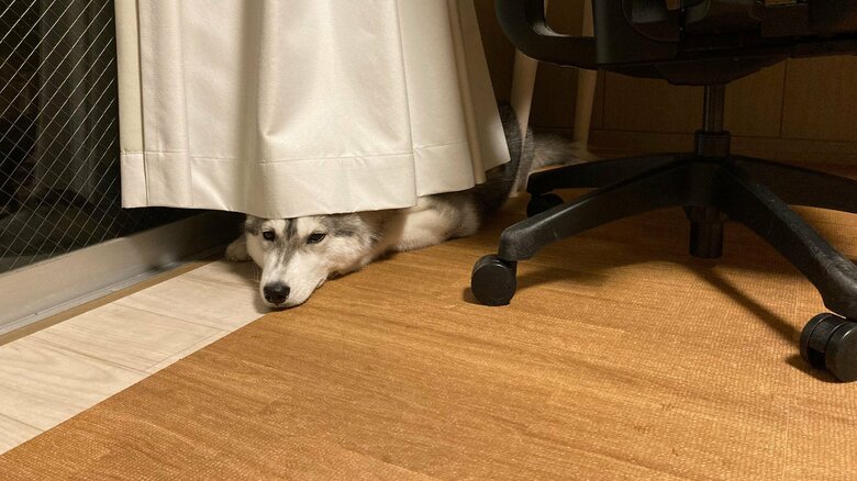 雨で行けないときの様子