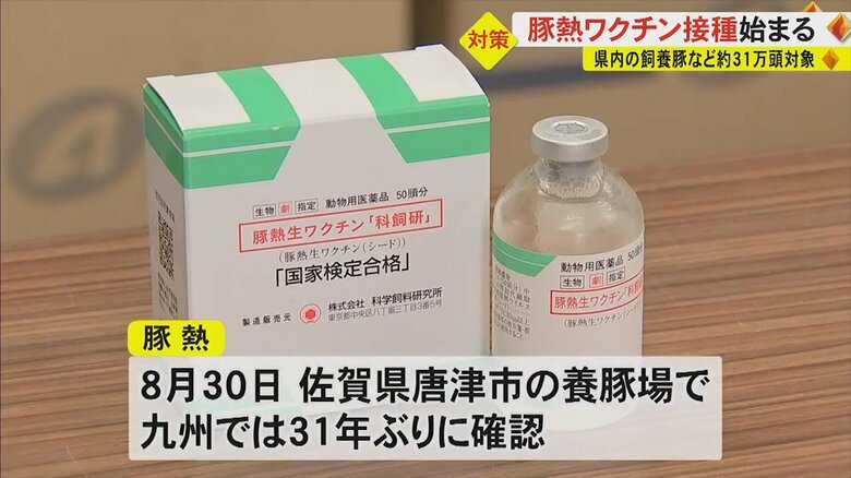 豚熱のワクチン