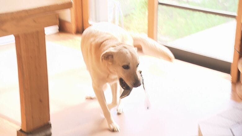 携帯電話を届ける『サンちゃん』