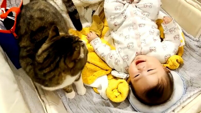 キウイくんは笑顔を見て満足したのか…