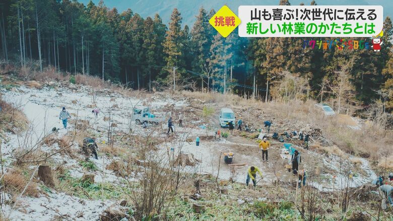 山の多様性をもたらすため様々な樹木を植樹