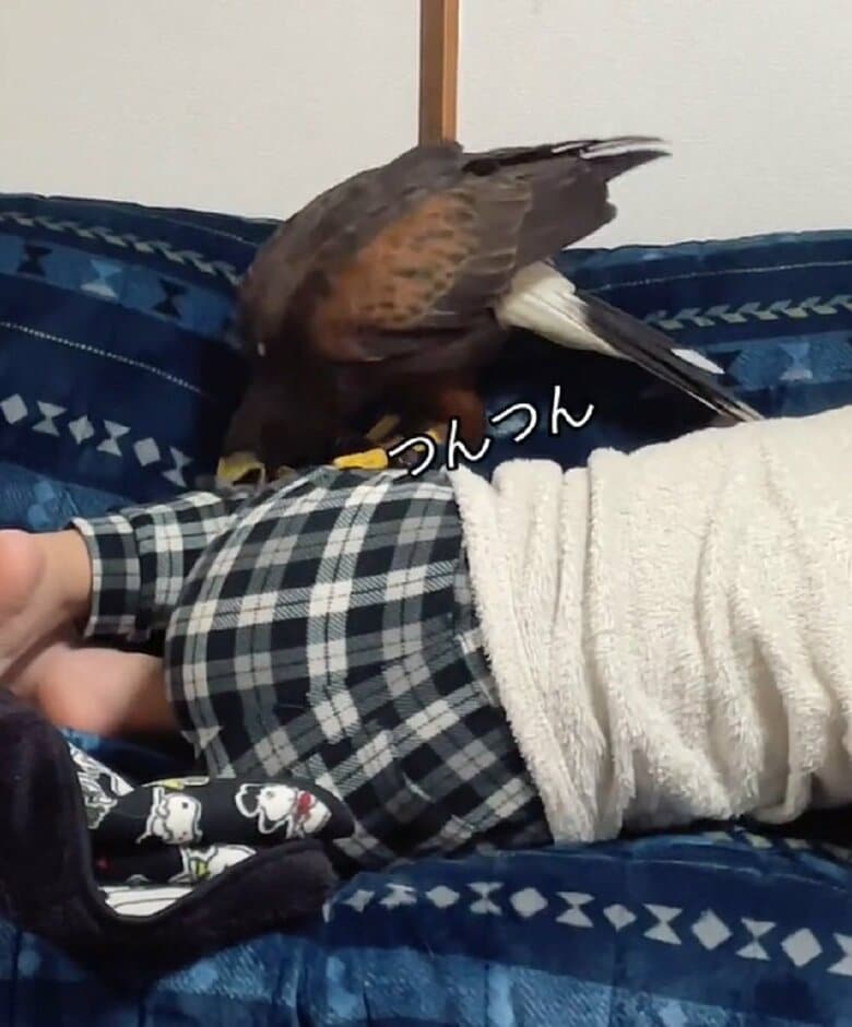 今度は服をつんつん