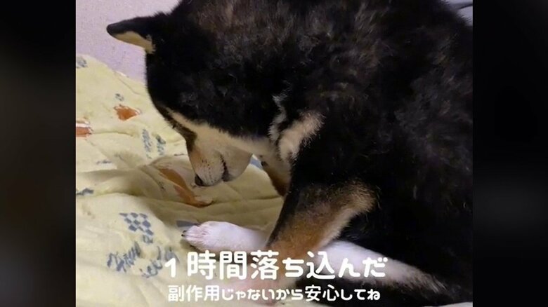 体調に問題はないが、1時間落ち込んだという