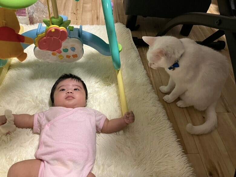 提供：ことねさん