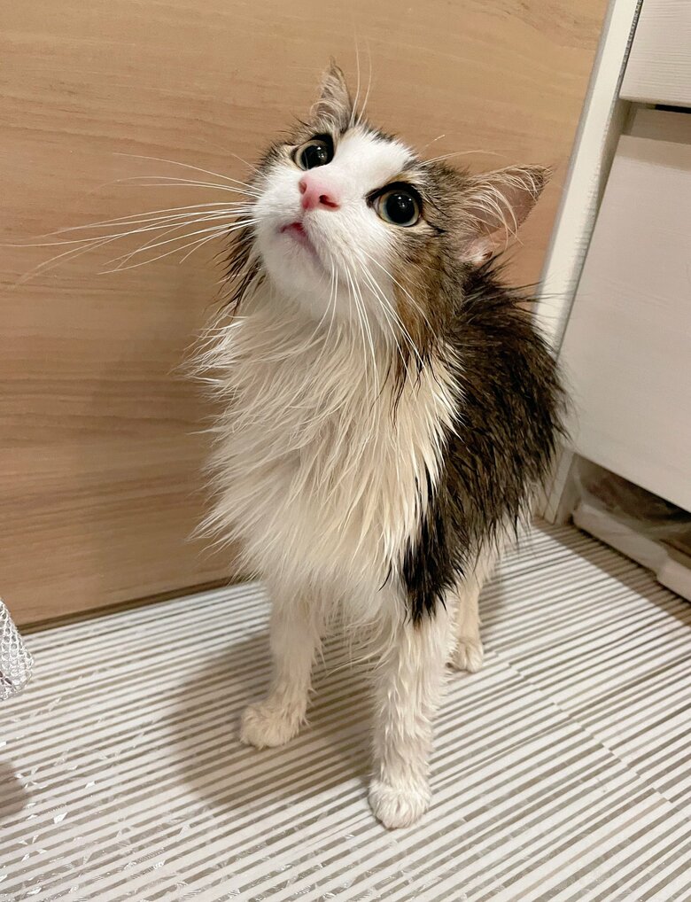 シャワーを浴びてさっぱり
