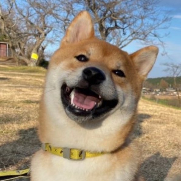 ニコニコ顔の琥太郎くん