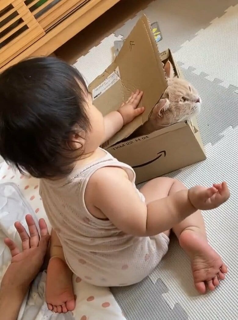 小鉄くんを梱包しようとしている？