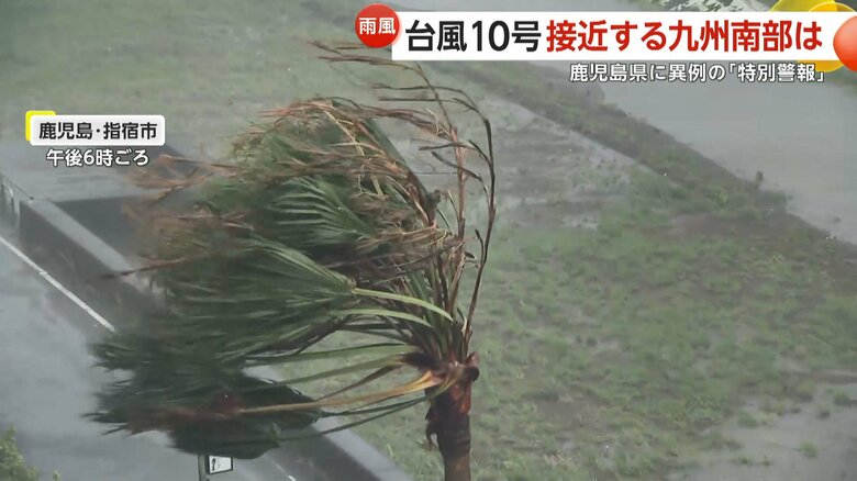 大きく揺れるヤシの木（指宿市・28日午後6時頃）