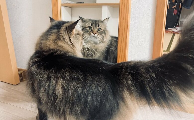 少しは慣れたかな？