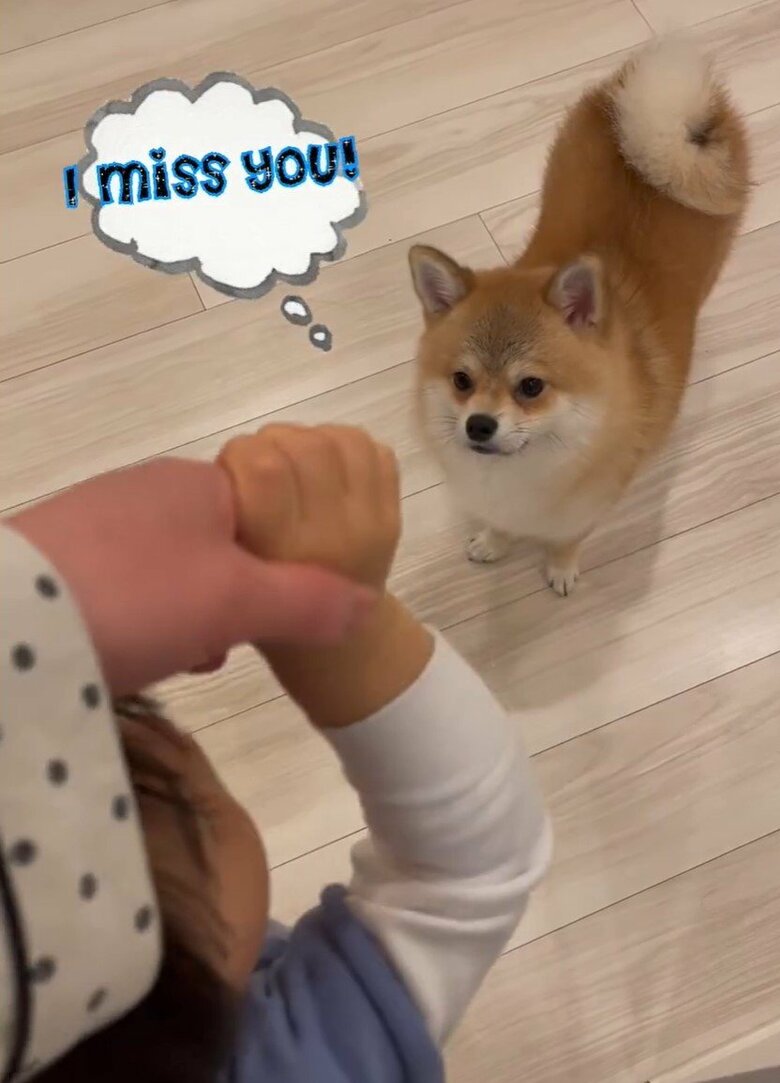 飼い主さんと息子さんを見ると…