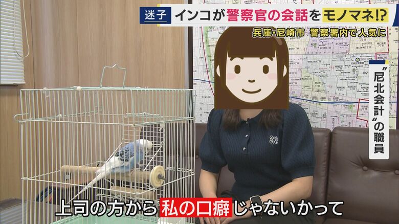 口癖の「マチガッタ」覚えられた？