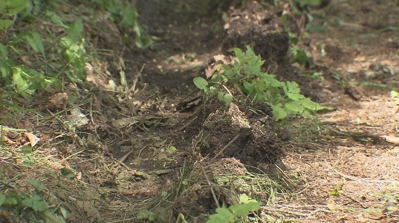 地面にはトラックとみられるタイヤの痕も