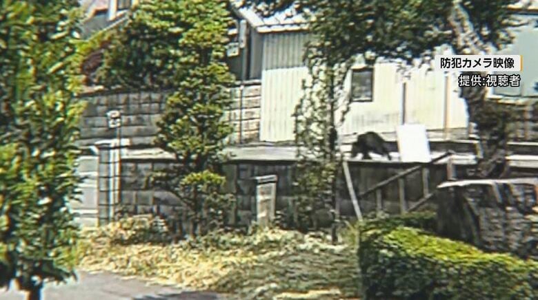 防犯カメラの映像（提供：視聴者）