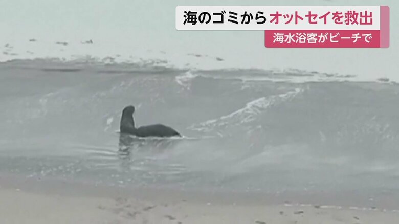 Instagram @Jamessuter / BlackBeanProductions