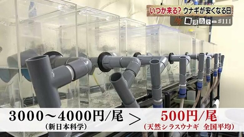 実用化には設備投資やコストの問題が