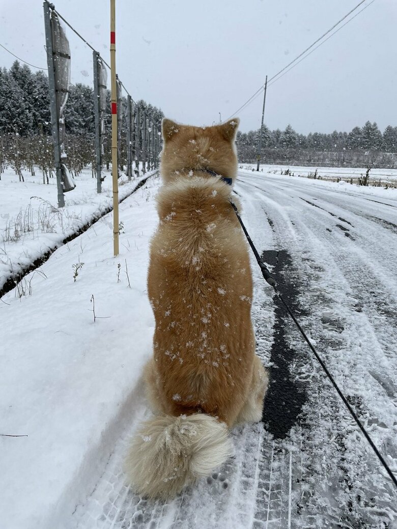背中で語る「帰りたくない」