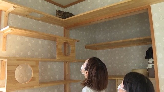 「キラ」を見つめる青井さん親子