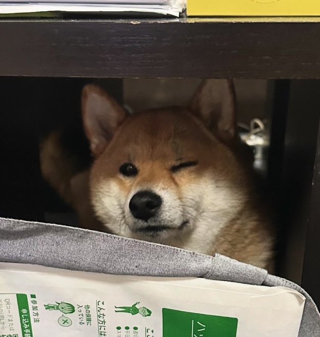 提供：はちさん