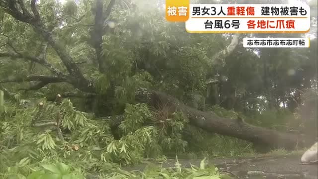 台風6号　鹿児島で3人重軽傷　建物被害も　各地に爪痕