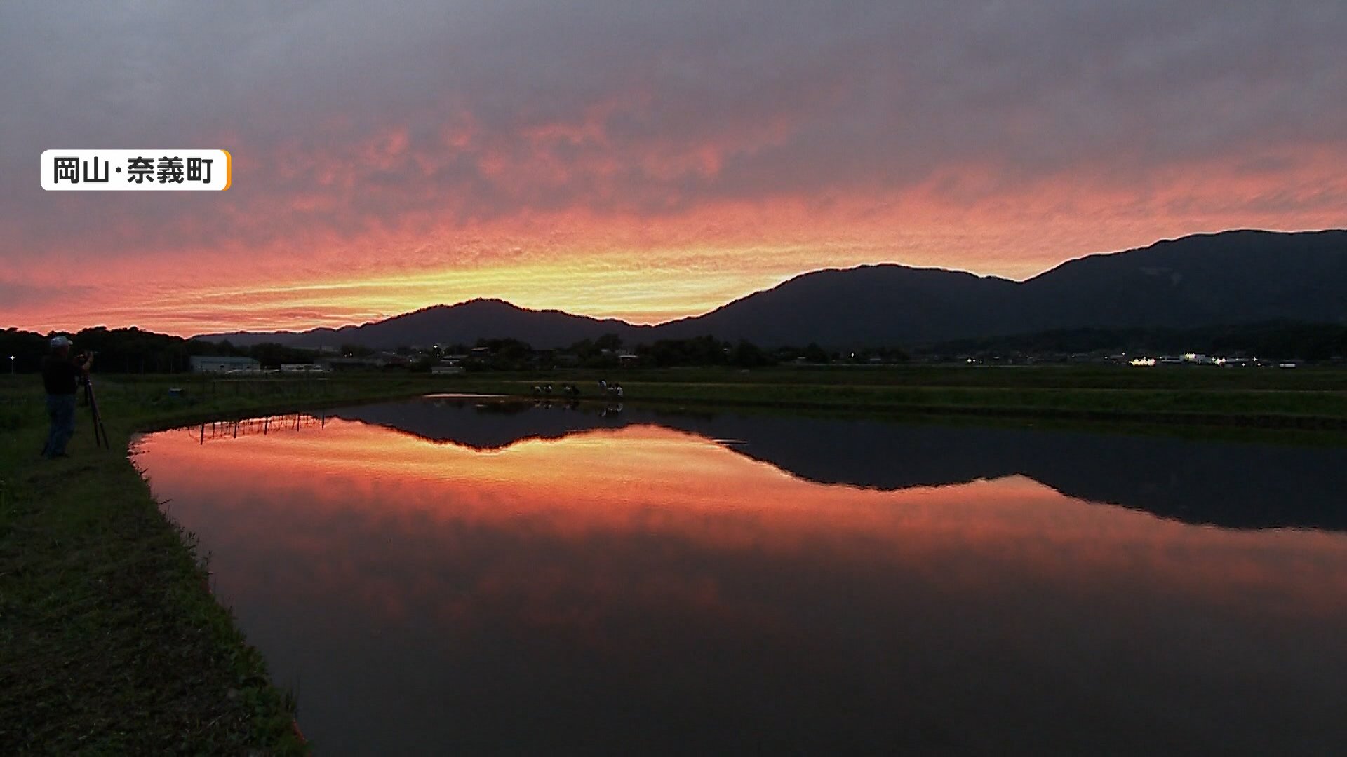 後世に残したい景色」田植え前後の風が穏やかな日限定…夕焼けと山々が 