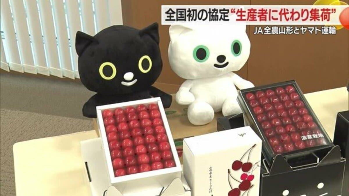 img_039d6ca829c385ad0d64caefbd