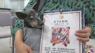 「一日でも長生きしてほしい」　動物愛護週間最終日に「ご長寿犬」の表彰式　人間なら100歳前後の犬も　飼い主も笑顔　