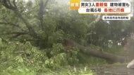 台風6号　鹿児島で3人重軽傷　建物被害も　各地に爪痕