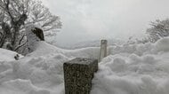 「干支登山」で訪れた馬鬣山で見つけた春の訪れ　明治天皇が名付けた山で、雪の中に咲き始めたマンサクの花