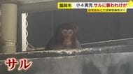 登校中の小4男子がサルに襲われけが　福岡市の中心部　前日から目撃情報相次ぐ　「目を合わせないよう」注意呼びかけ