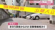 仙台市中心部のマンション敷地内に体長約１．５メートルのクマが居座る　緊急銃猟できず箱ワナ設置して対応