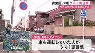 青葉区八幡の住宅街で体長７０センチのクマ１頭が目撃　学校付近で警察が警戒にあたるも未発見〈仙台市〉