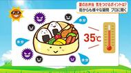 【プロに聞く】夏のお弁当、気をつけるポイントは？　街からも様々な疑問