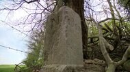 まさかの理由で領土“拡大” 石動かしただけ いったいなぜ