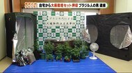 「大麻栽培セット」自宅から大麻草や園芸用ハウスが…ブラジル人の男逮捕