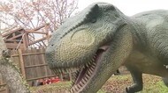 北九州市　響灘緑地に”恐竜出現”　響灘ディノパーク　オープン