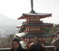 「市民の暮らしが脅かされている」富士山一望の絶景スポットに観光客殺到…住宅の無断侵入やポイ捨て横行　市は「桜まつり」中止を決定