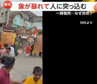 象が“豹変”して暴走　人めがけて突撃＆バリケード破壊　集まった数千人が一時騒然…原因は音楽と笛の音か　インド
