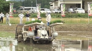 日本酒「女将」 今年も酒米田植え~一時は見送り検討も