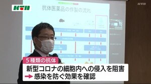 大学の研究チームが開発に成功 新型コロナウイルスを攻撃する新しい抗体