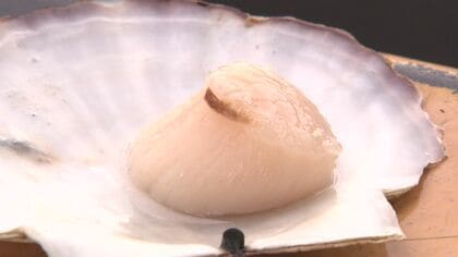 【またか…】中国政府が日本産水産物を事実上の“輸入停止” 水産加工業者からは「こじつけだよ」嘆きの声も…道産ホタテ再び影響か…2023年の輸入停止では450億円分のホタテが行き場を失うも今回は？北海道