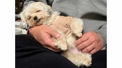 「帰るよ」の言葉で“寝たふり”？実家が大好き過ぎて帰宅拒否する犬が可愛い…置いていくこともあるのか飼い主に聞いた